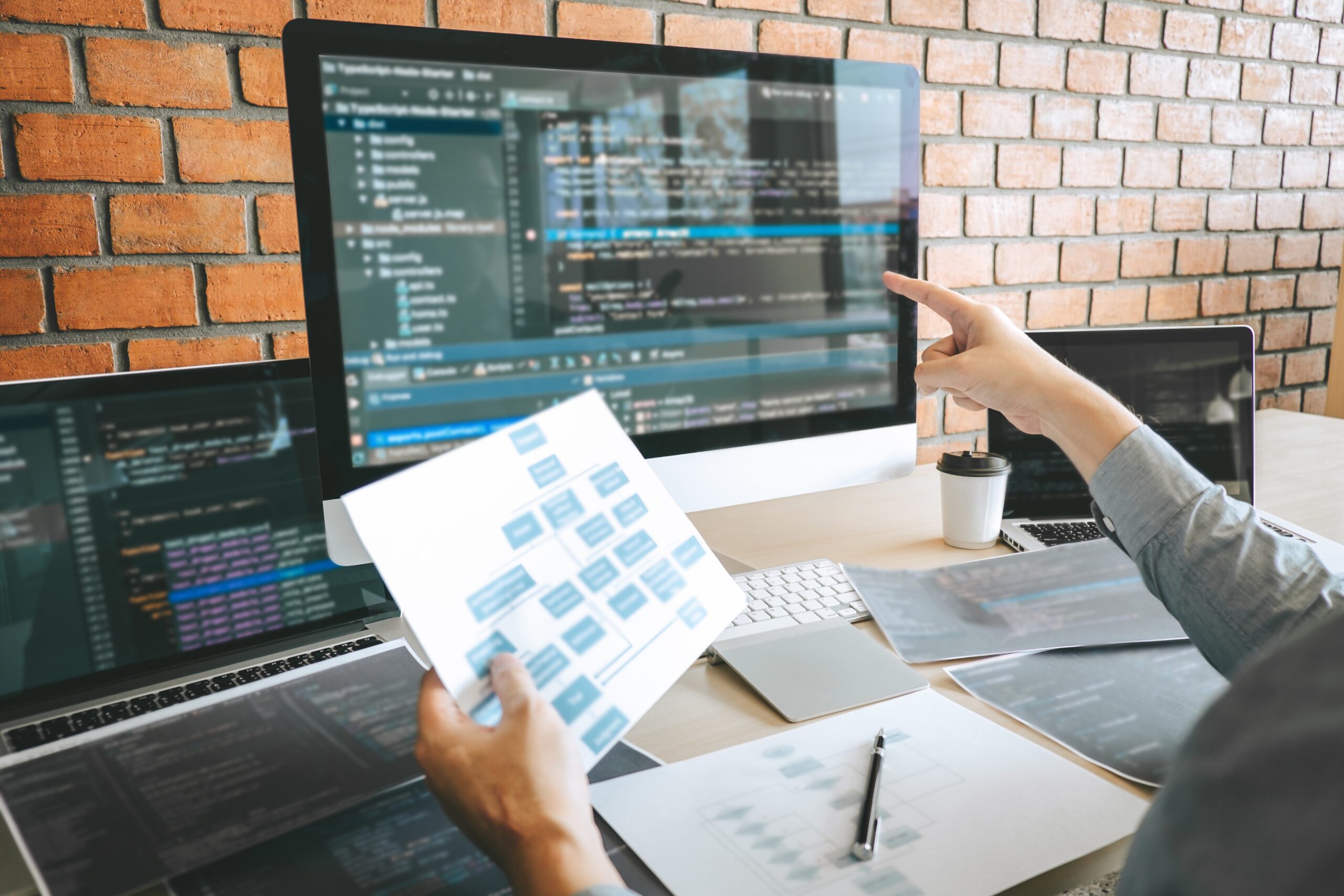 Professional Developer programmer working a software website des